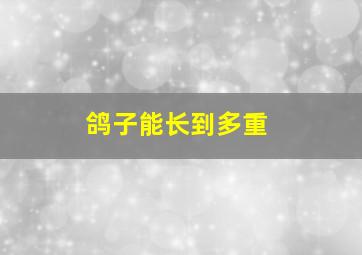 鸽子能长到多重