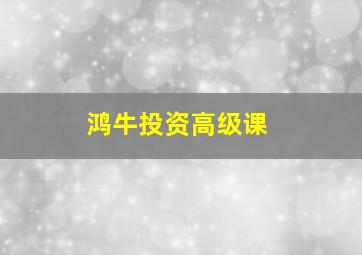 鸿牛投资高级课