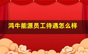 鸿牛能源员工待遇怎么样