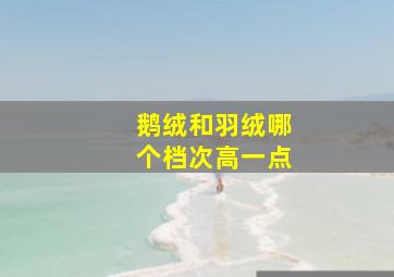 鹅绒和羽绒哪个档次高一点