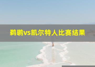 鹈鹕vs凯尔特人比赛结果