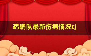 鹈鹕队最新伤病情况cj