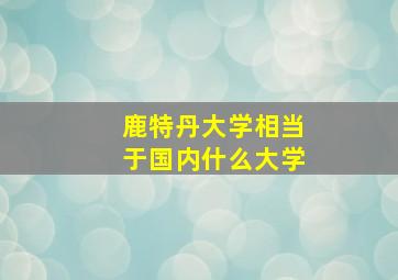 鹿特丹大学相当于国内什么大学