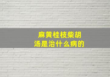 麻黄桂枝柴胡汤是治什么病的