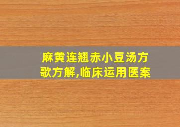 麻黄连翘赤小豆汤方歌方解,临床运用医案