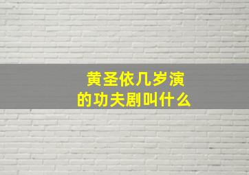 黄圣依几岁演的功夫剧叫什么