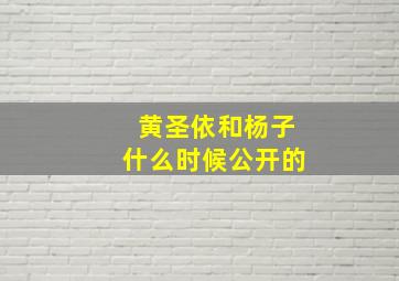 黄圣依和杨子什么时候公开的