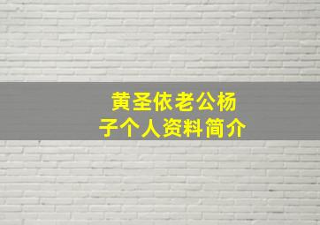 黄圣依老公杨子个人资料简介