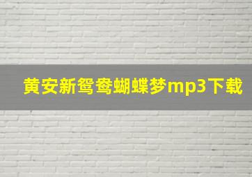 黄安新鸳鸯蝴蝶梦mp3下载