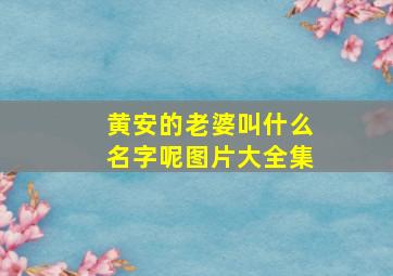 黄安的老婆叫什么名字呢图片大全集