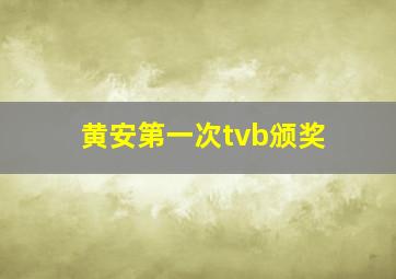 黄安第一次tvb颁奖