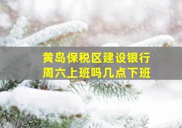 黄岛保税区建设银行周六上班吗几点下班