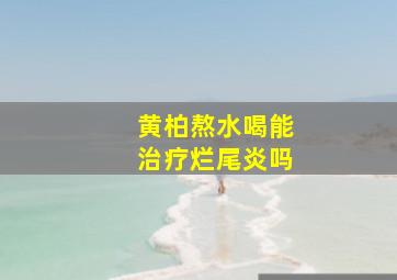 黄柏熬水喝能治疗烂尾炎吗