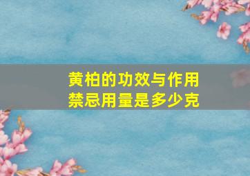 黄柏的功效与作用禁忌用量是多少克