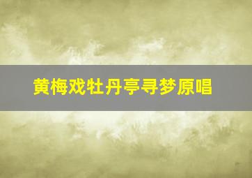 黄梅戏牡丹亭寻梦原唱