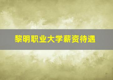 黎明职业大学薪资待遇