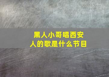 黑人小哥唱西安人的歌是什么节目