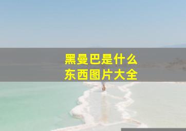 黑曼巴是什么东西图片大全