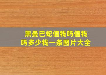 黑曼巴蛇值钱吗值钱吗多少钱一条图片大全