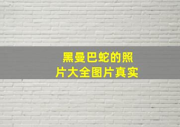 黑曼巴蛇的照片大全图片真实