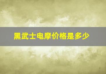 黑武士电摩价格是多少