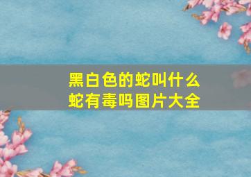 黑白色的蛇叫什么蛇有毒吗图片大全