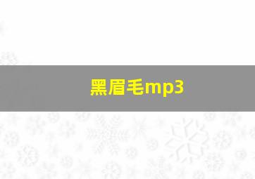 黑眉毛mp3