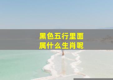 黑色五行里面属什么生肖呢