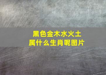 黑色金木水火土属什么生肖呢图片