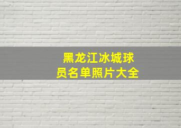 黑龙江冰城球员名单照片大全