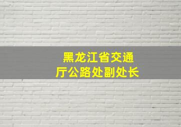 黑龙江省交通厅公路处副处长