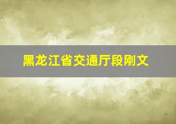 黑龙江省交通厅段刚文