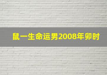 鼠一生命运男2008年卯时