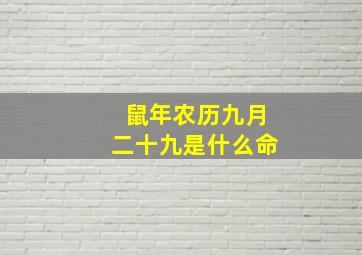 鼠年农历九月二十九是什么命