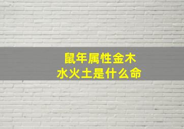 鼠年属性金木水火土是什么命