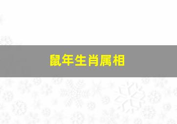 鼠年生肖属相