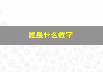 鼠是什么数字