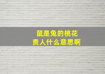 鼠是兔的桃花贵人什么意思啊