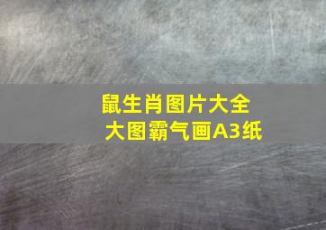 鼠生肖图片大全大图霸气画A3纸