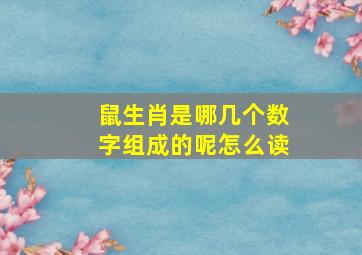 鼠生肖是哪几个数字组成的呢怎么读