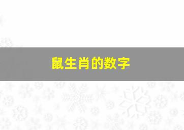 鼠生肖的数字