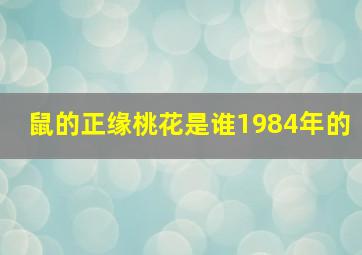 鼠的正缘桃花是谁1984年的