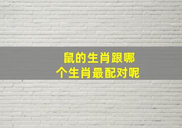 鼠的生肖跟哪个生肖最配对呢