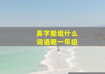 鼻字能组什么词语呢一年级