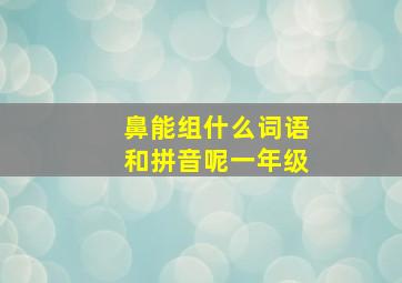 鼻能组什么词语和拼音呢一年级