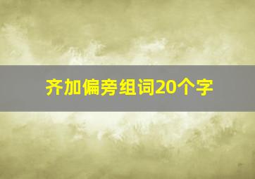 齐加偏旁组词20个字