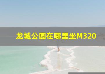 龙城公园在哪里坐M320