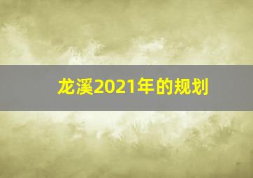 龙溪2021年的规划