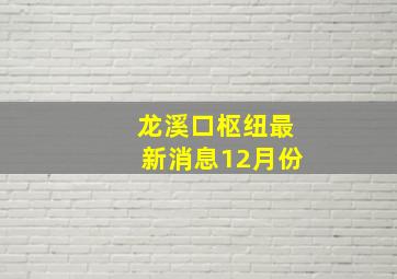 龙溪口枢纽最新消息12月份