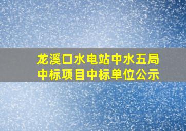 龙溪口水电站中水五局中标项目中标单位公示